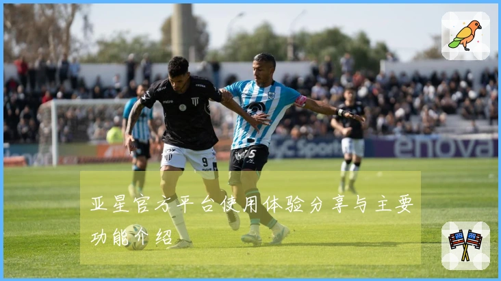 亚星官方平台使用体验分享与主要功能介绍