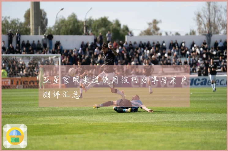 亚星官网渠道使用技巧分享与用户测评汇总